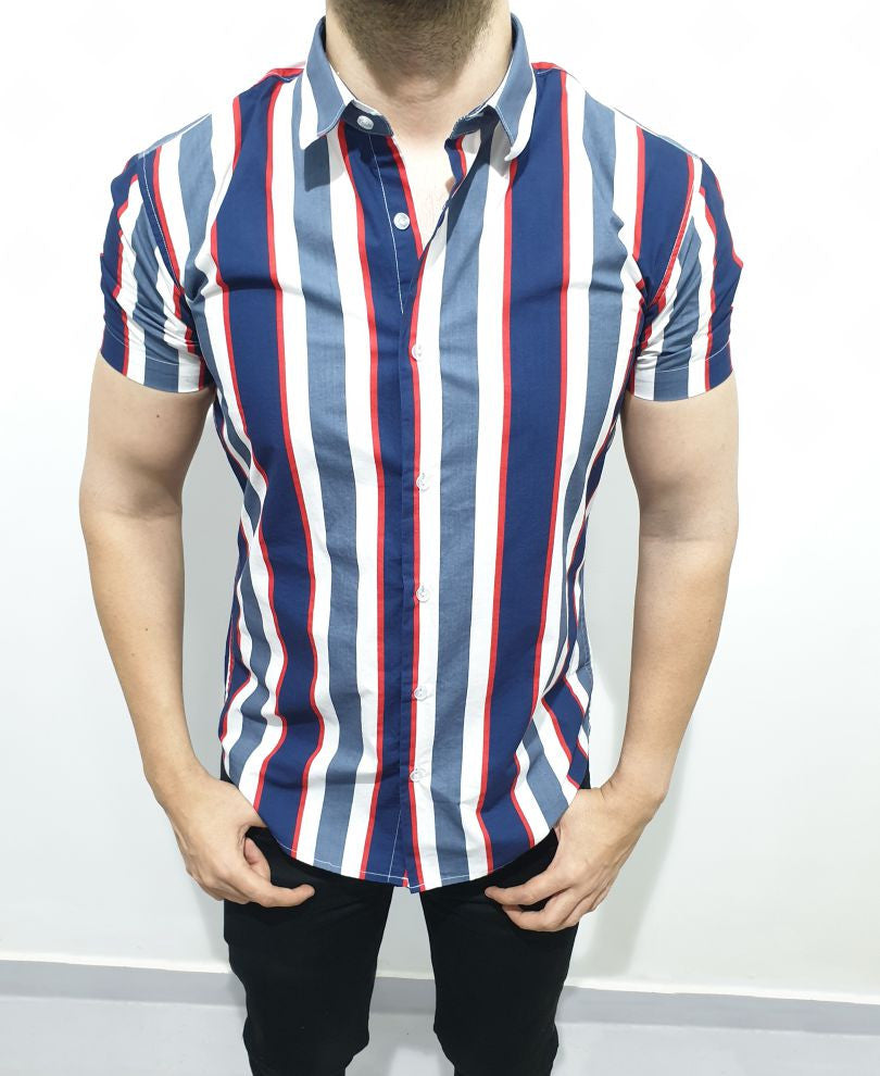 Grey And Blue Stripes Print Half Sleeves Shirt