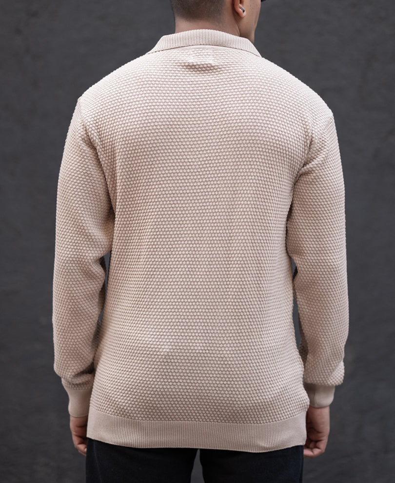 Beige Regular Fit Full Sleeves Polo T-Shirt